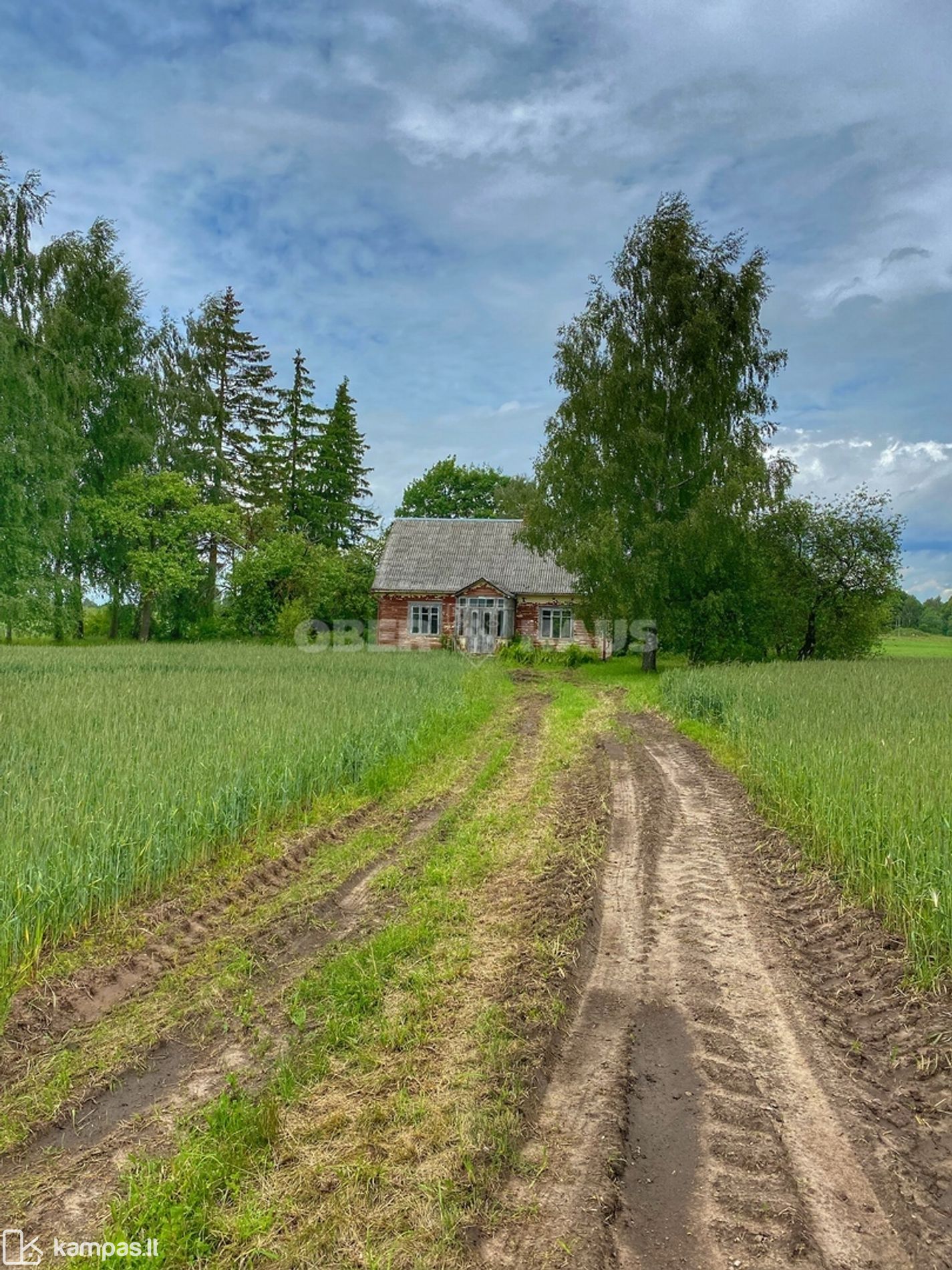 Main Image Radviliškio r. sav., Tyruliai, Laukų g.