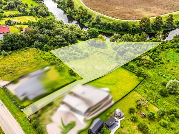 Kėdainių r. sav., Ledai