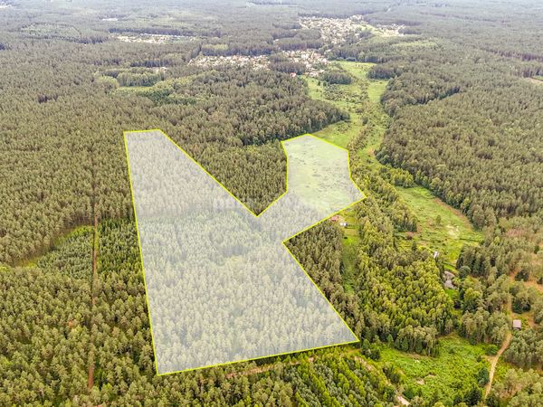 Vilniaus r. sav., Liepiai