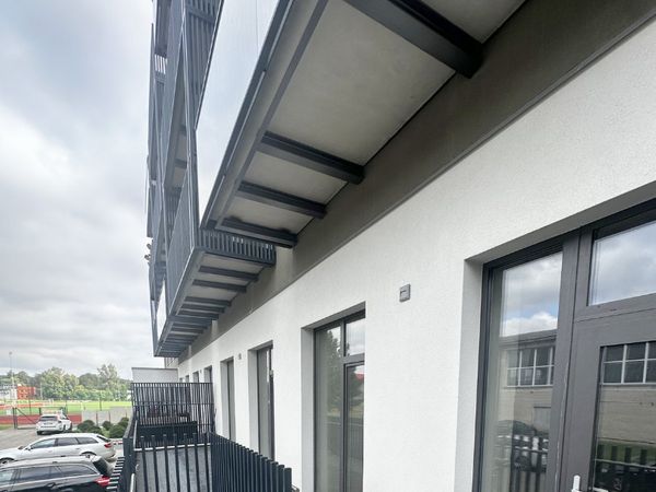 Prienų r. sav., Prienai