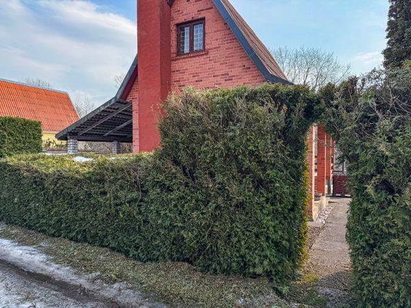 Kauno r. sav., Naujasodžiai