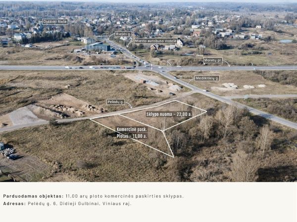 Vilniaus r. sav., Didieji Gulbinai