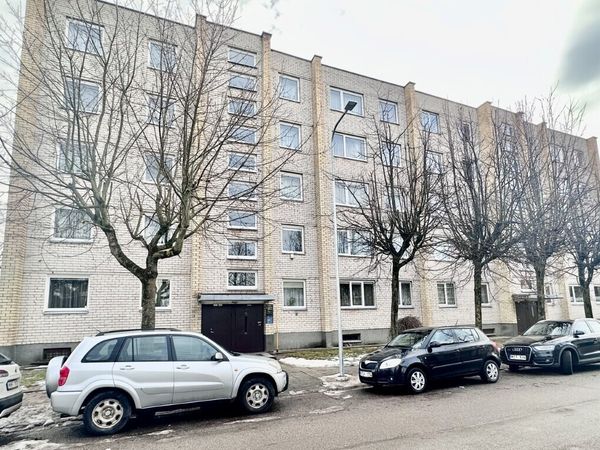 Panevėžys, Centras