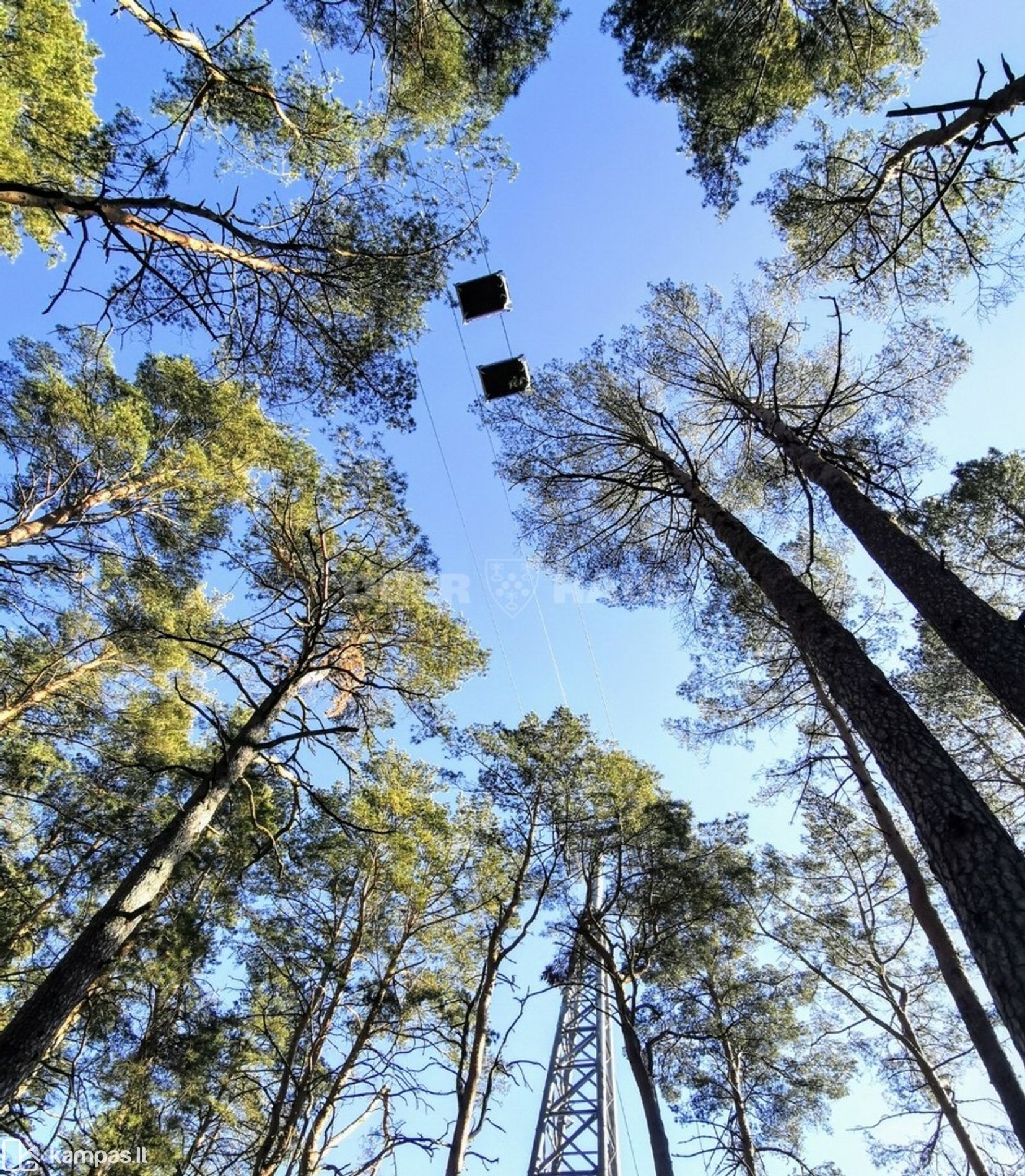 Main Image Druskininkų sav., Druskininkai, T. Kosciuškos g.
