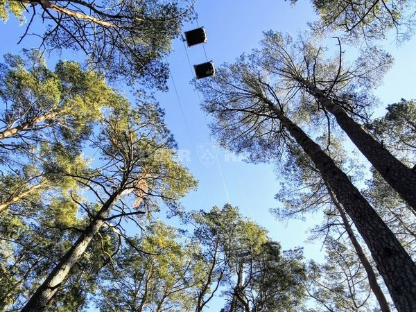 Druskininkų sav., Druskininkai