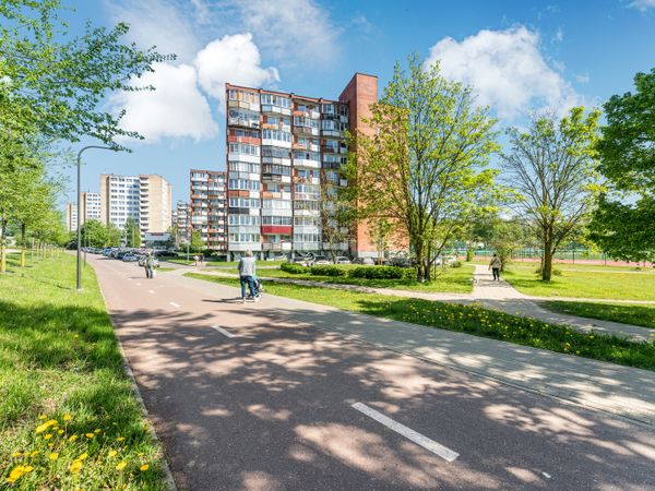 Vilnius, Šnipiškės