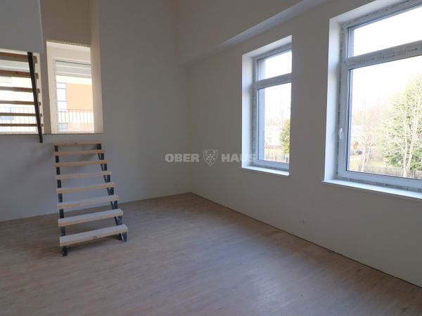 Panevėžys, Centras