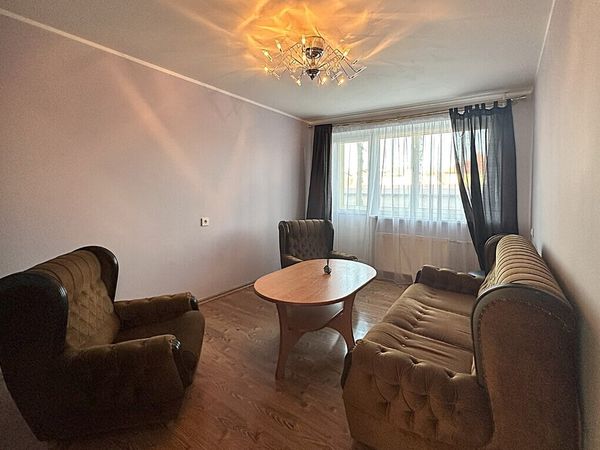 Panevėžys, Tulpės