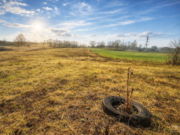 Alytaus r. sav., Daugai