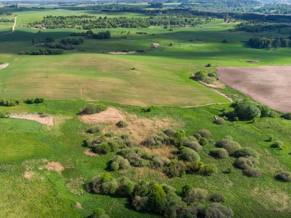 Elektrėnų sav., Musteniai