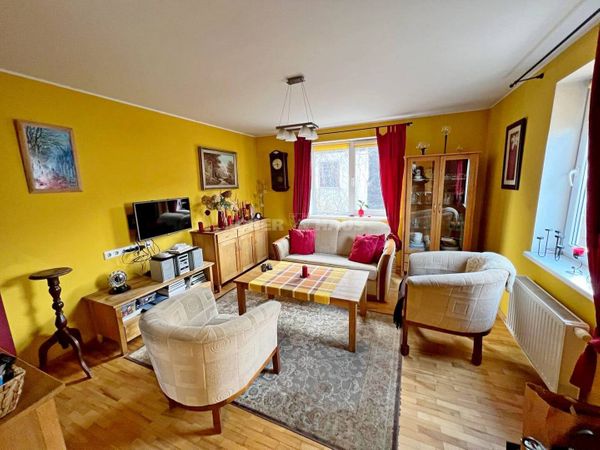 Panevėžys, Centras