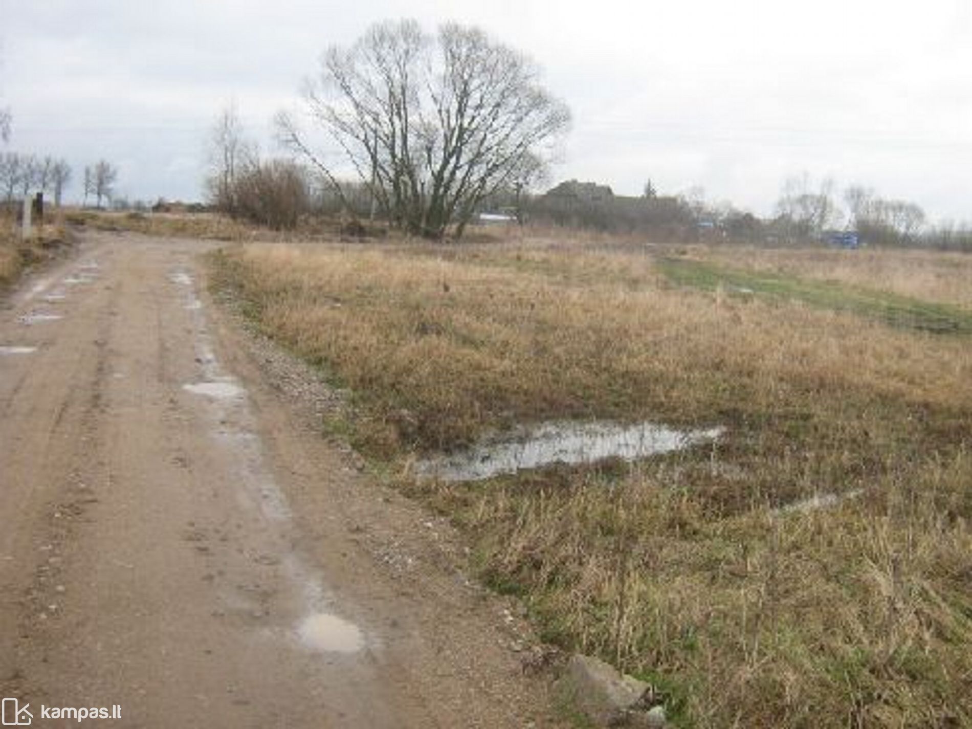 Main Image Klaipėdos r. sav., Dauparai