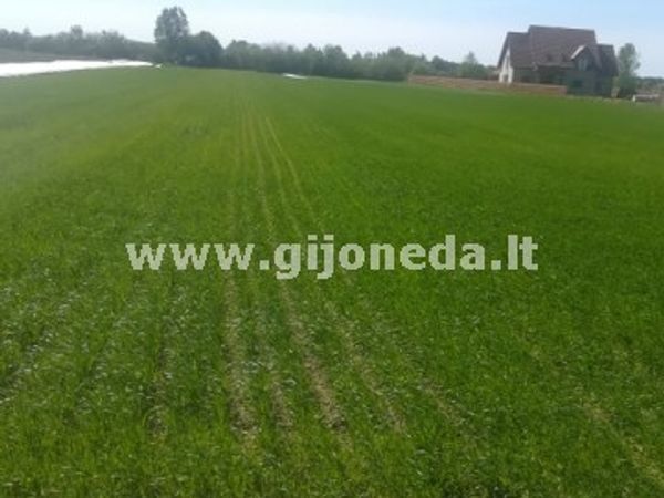 Klaipėdos r. sav., Gargždai