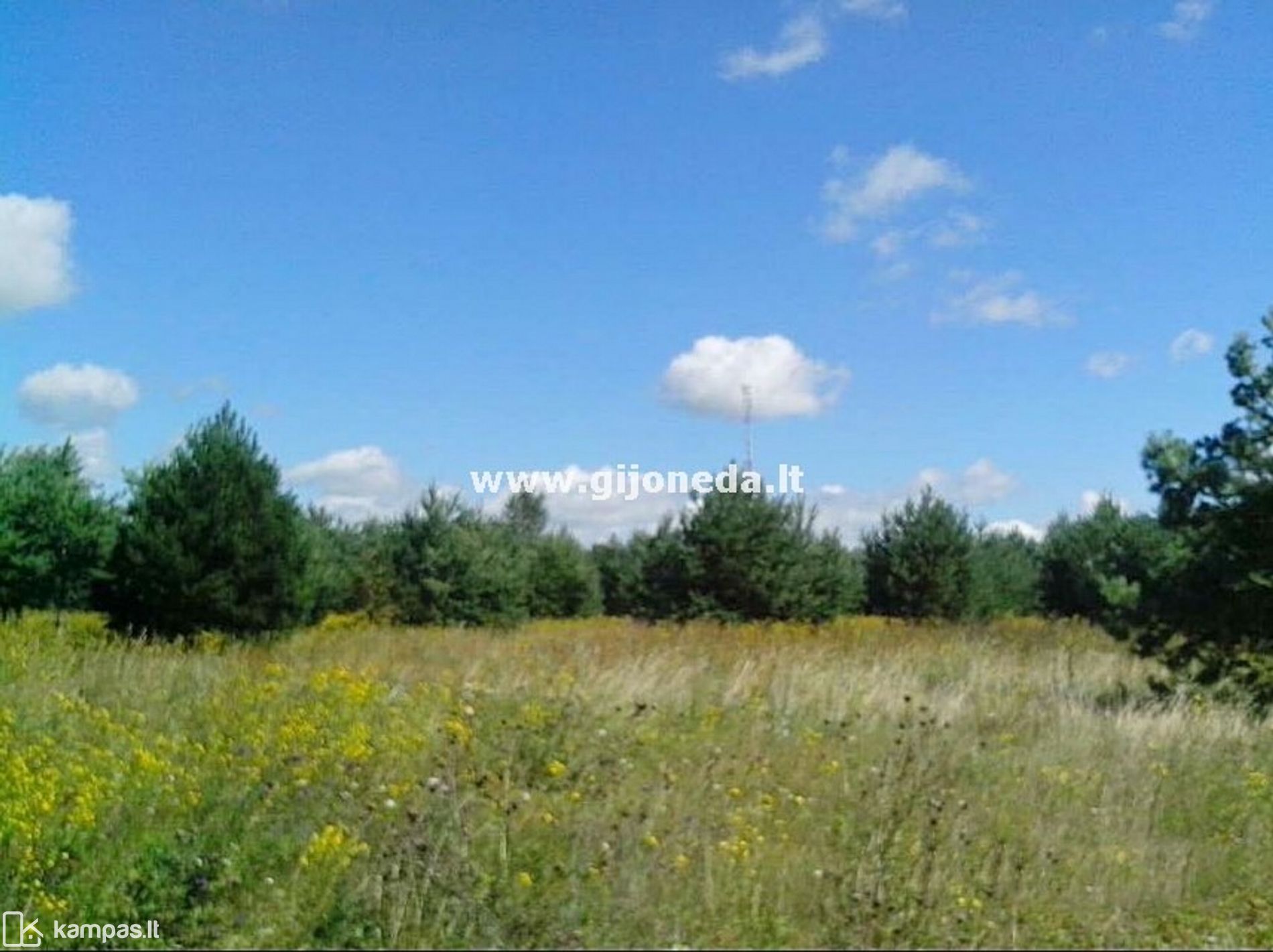 Main Image Klaipėdos r. sav., Kisiniai