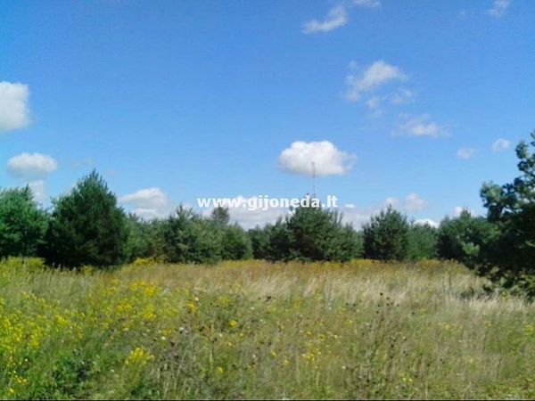 Klaipėdos r. sav., Kisiniai