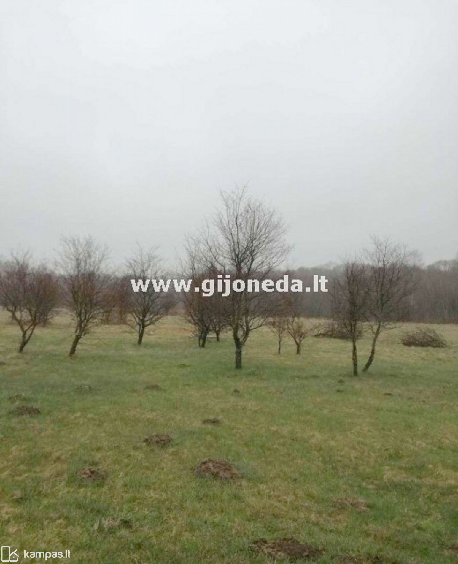 Main Image Klaipėdos r. sav., Glaudėnai