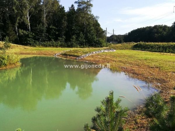 Klaipėdos r. sav., Šakiniai