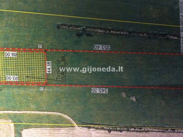 Šilutės r. sav., Rusnė