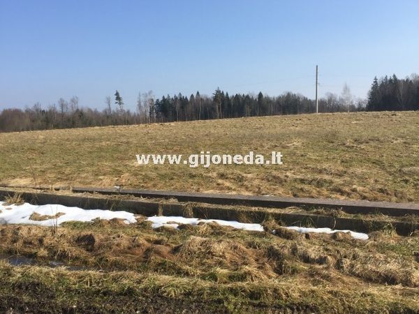 Klaipėdos r. sav., Mikai