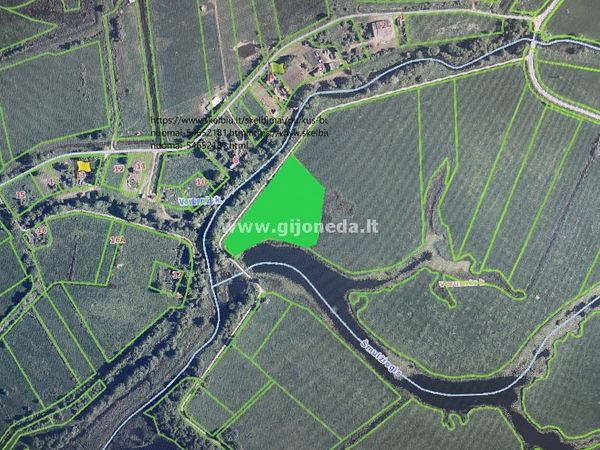 Šilutės r. sav., Vorusnė