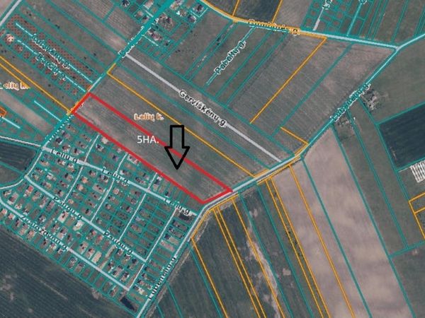 Klaipėdos r. sav., Leliai