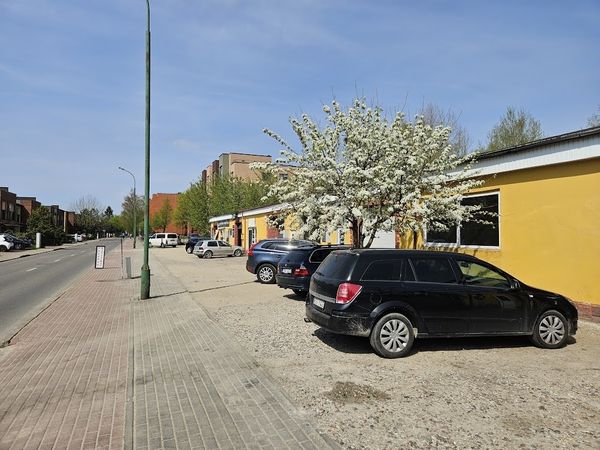 Klaipėda, Vėtrungė