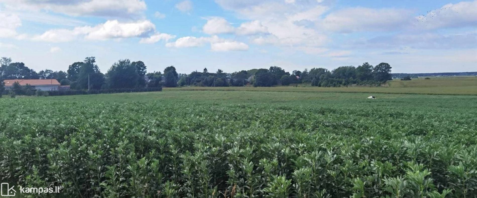 Main Image Klaipėdos r. sav., Girkaliai