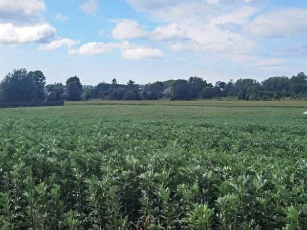 Klaipėdos r. sav., Girkaliai