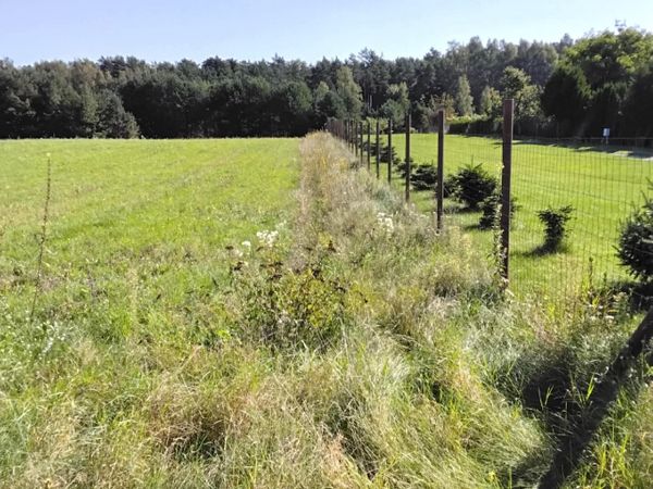 Klaipėdos r. sav., Toleikiai