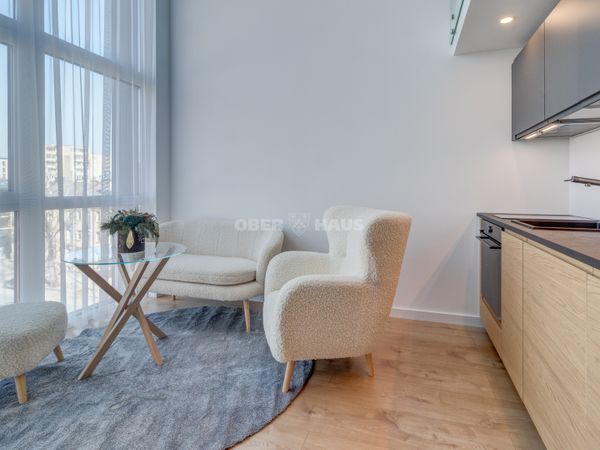 Vilnius, Naujamiestis