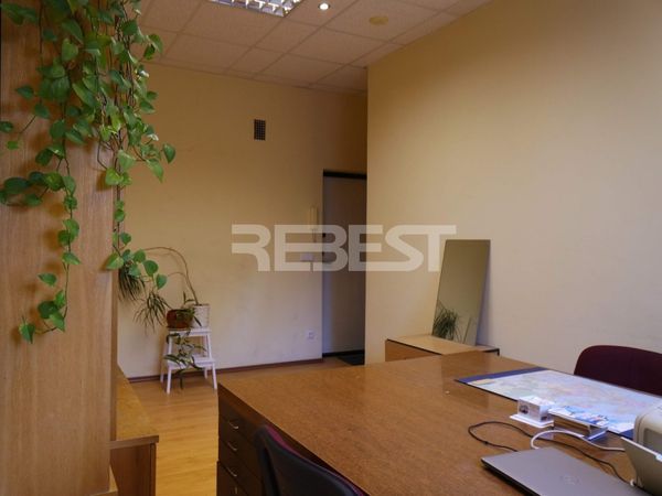 Vilnius, Naujamiestis