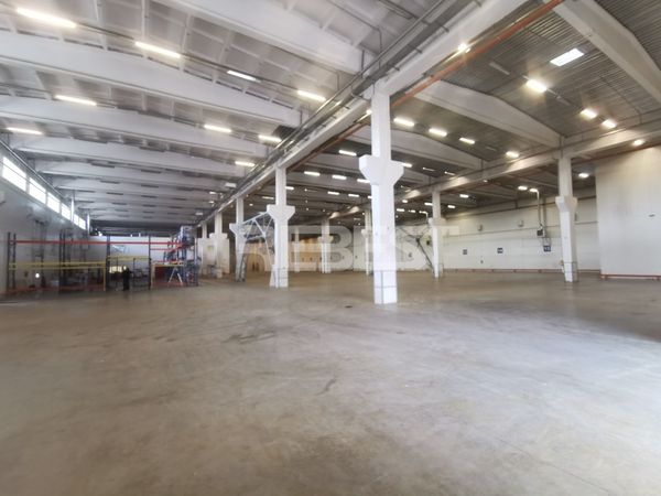 Šiauliai, Gubernija