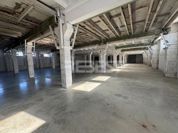 Šiauliai, Gubernija