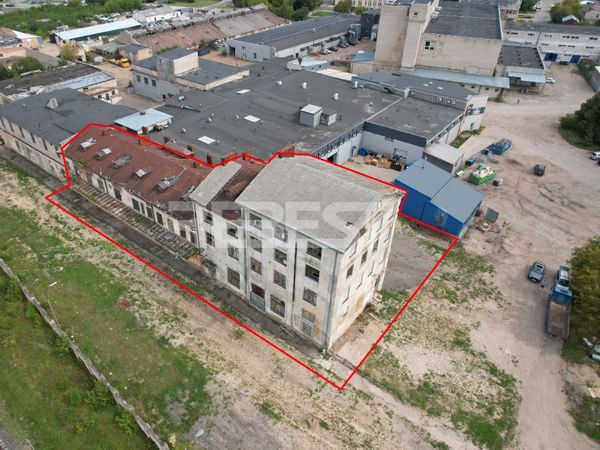 Šiauliai, Gubernija