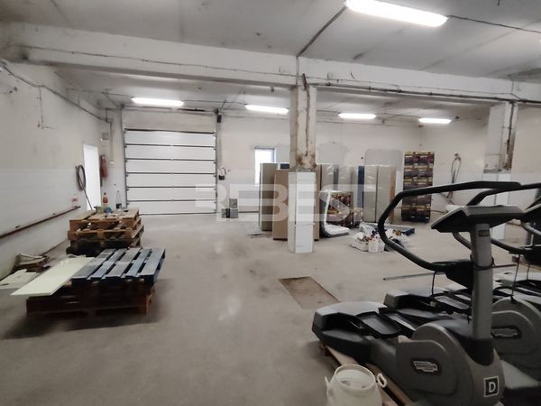 Šiaulių r. sav., Noreikiai