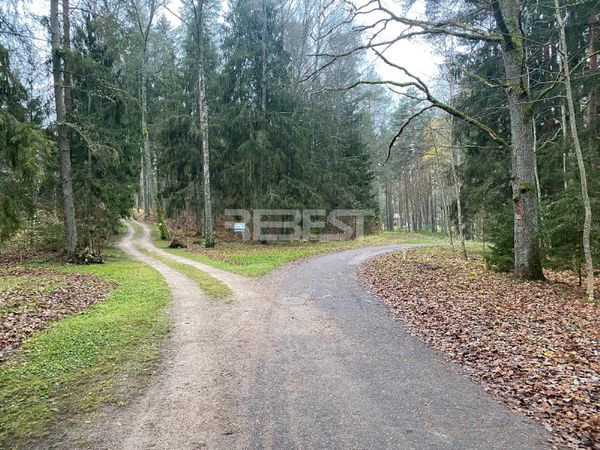 Šiaulių r. sav., Bubiai