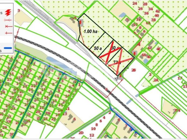 Šiaulių r. sav., Vijoliai