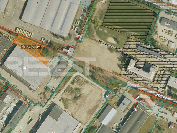 Šiauliai, Gubernija