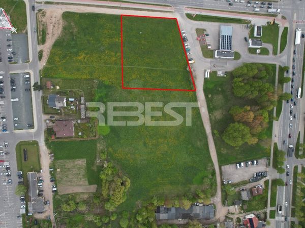 Šiauliai, Lieporiai