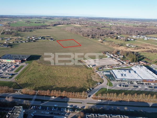 Šiaulių r. sav., Dainos