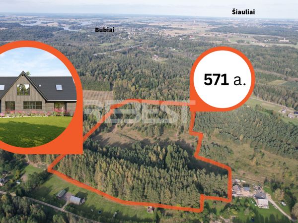 Šiaulių r. sav., Blužgalis