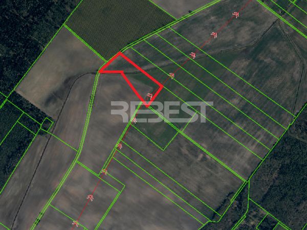 Šiaulių r. sav., Ratkūnai