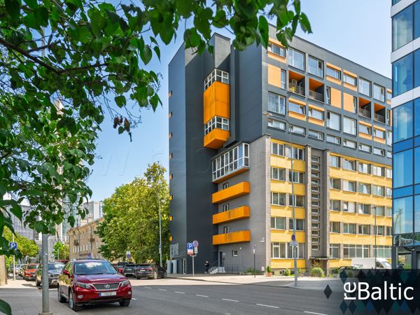 Vilnius, Šnipiškės