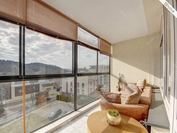 Vilnius, Šnipiškės