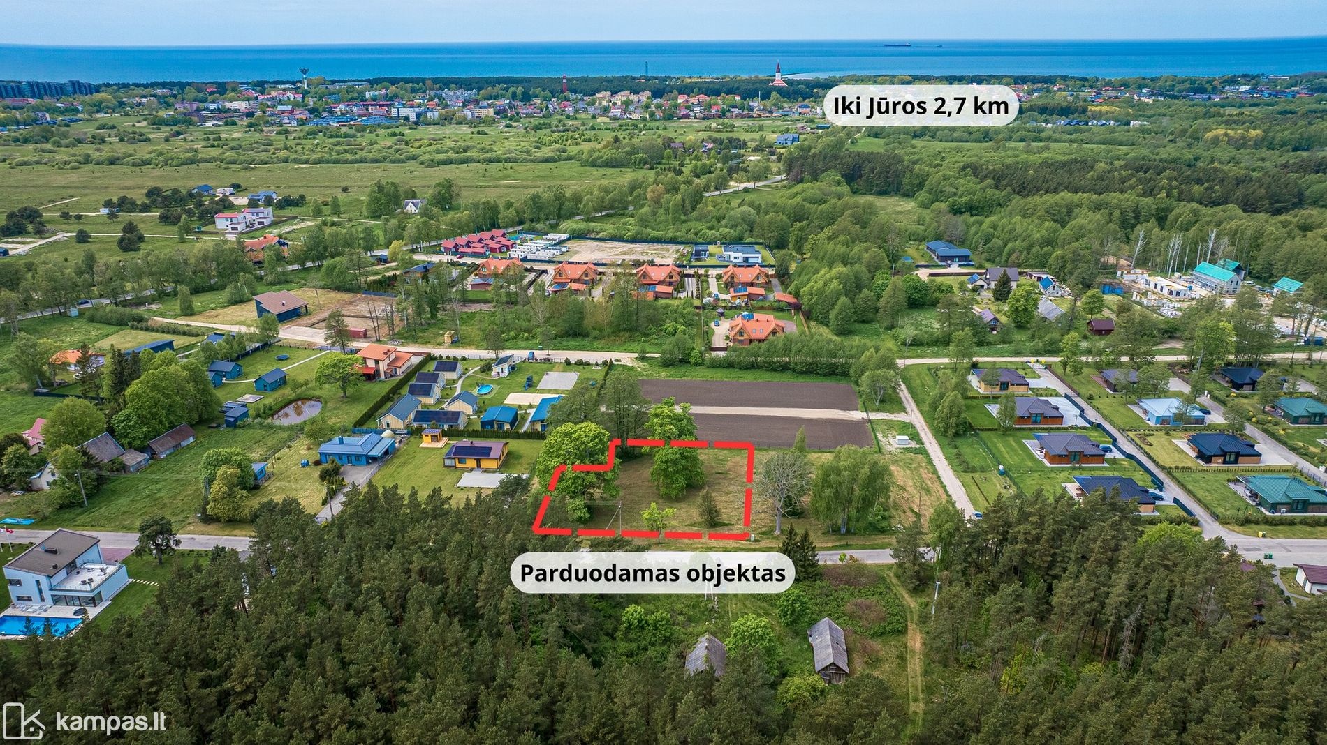 Main Image Palanga, Miško tak.