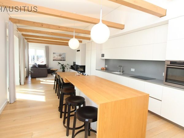 Panevėžys, Centras