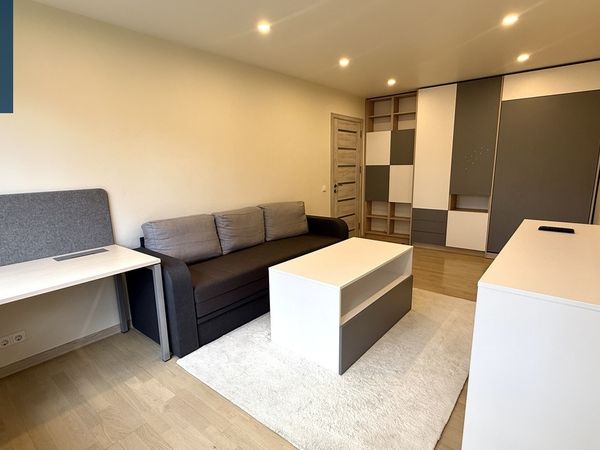 Vilnius, Šnipiškės