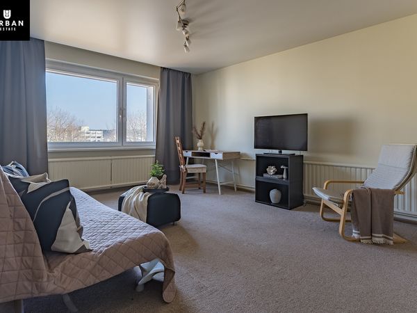 Vilnius, Šnipiškės