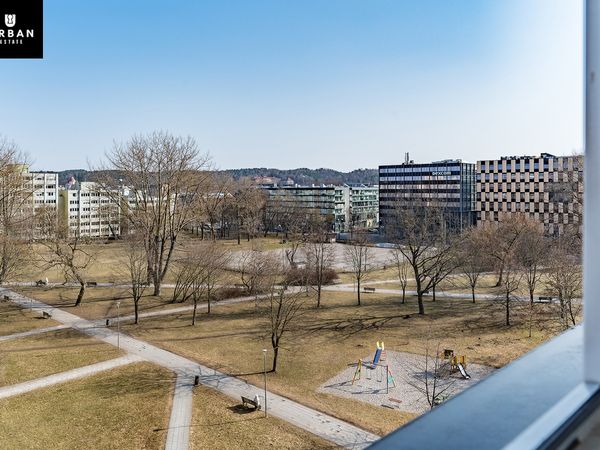 Vilnius, Šnipiškės