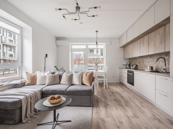 Vilnius, Šnipiškės